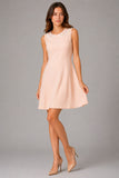 Peter Pan Collar Mini Dress