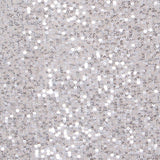 Full Sleeved Silver Sequin Dress