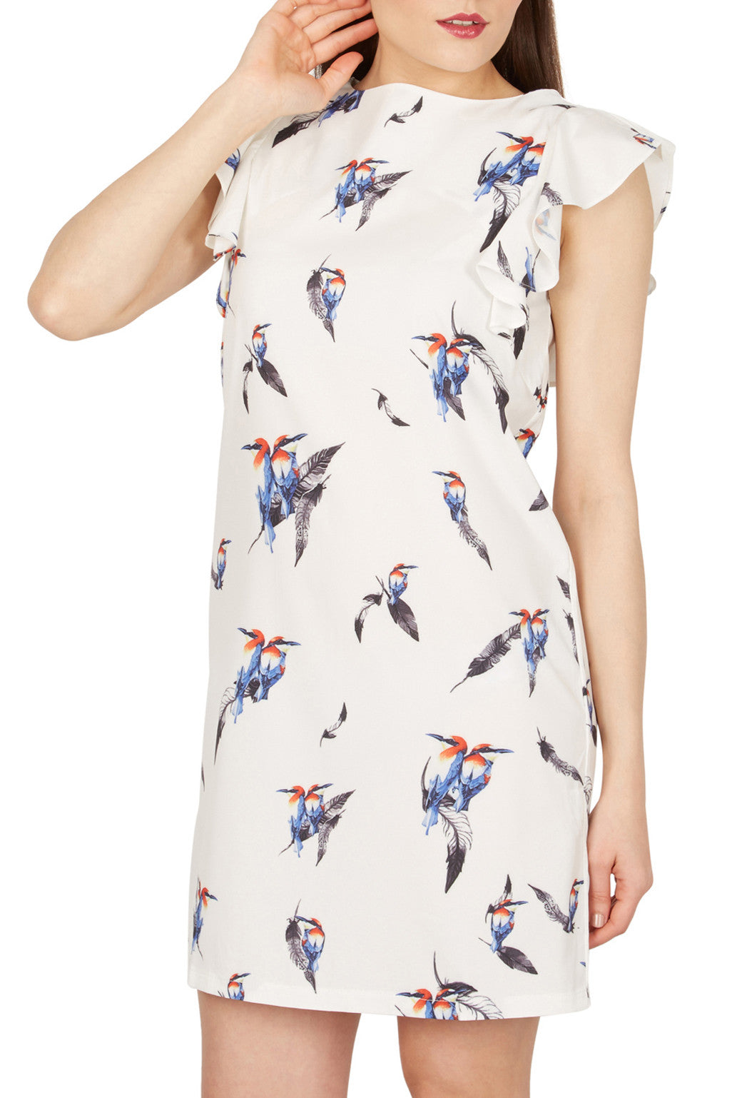 Bird Print Dress